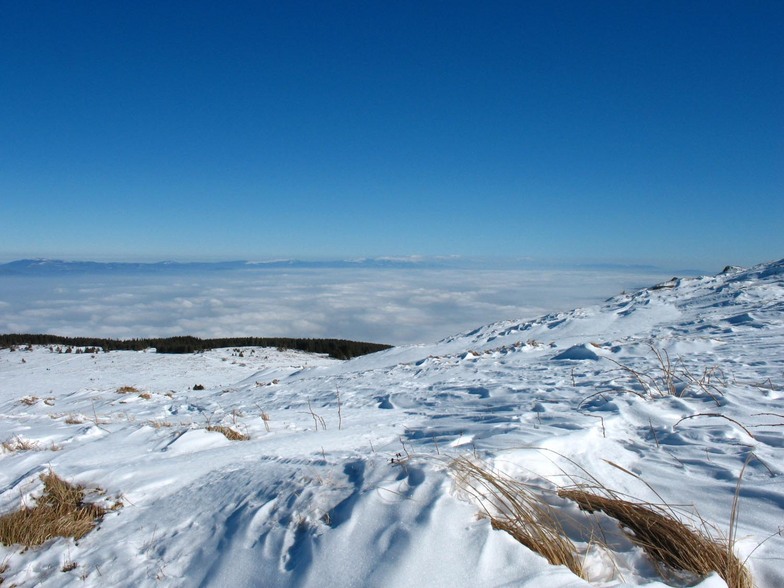 sea of clouds, Vitosha