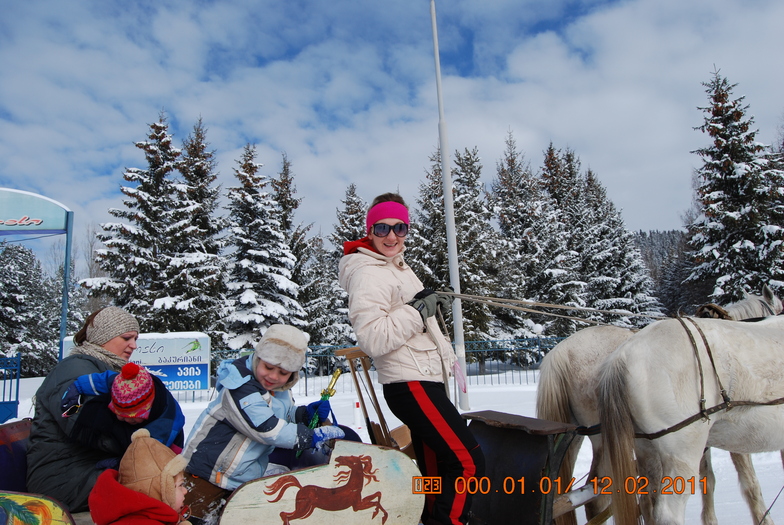 Horses, Bakuriani