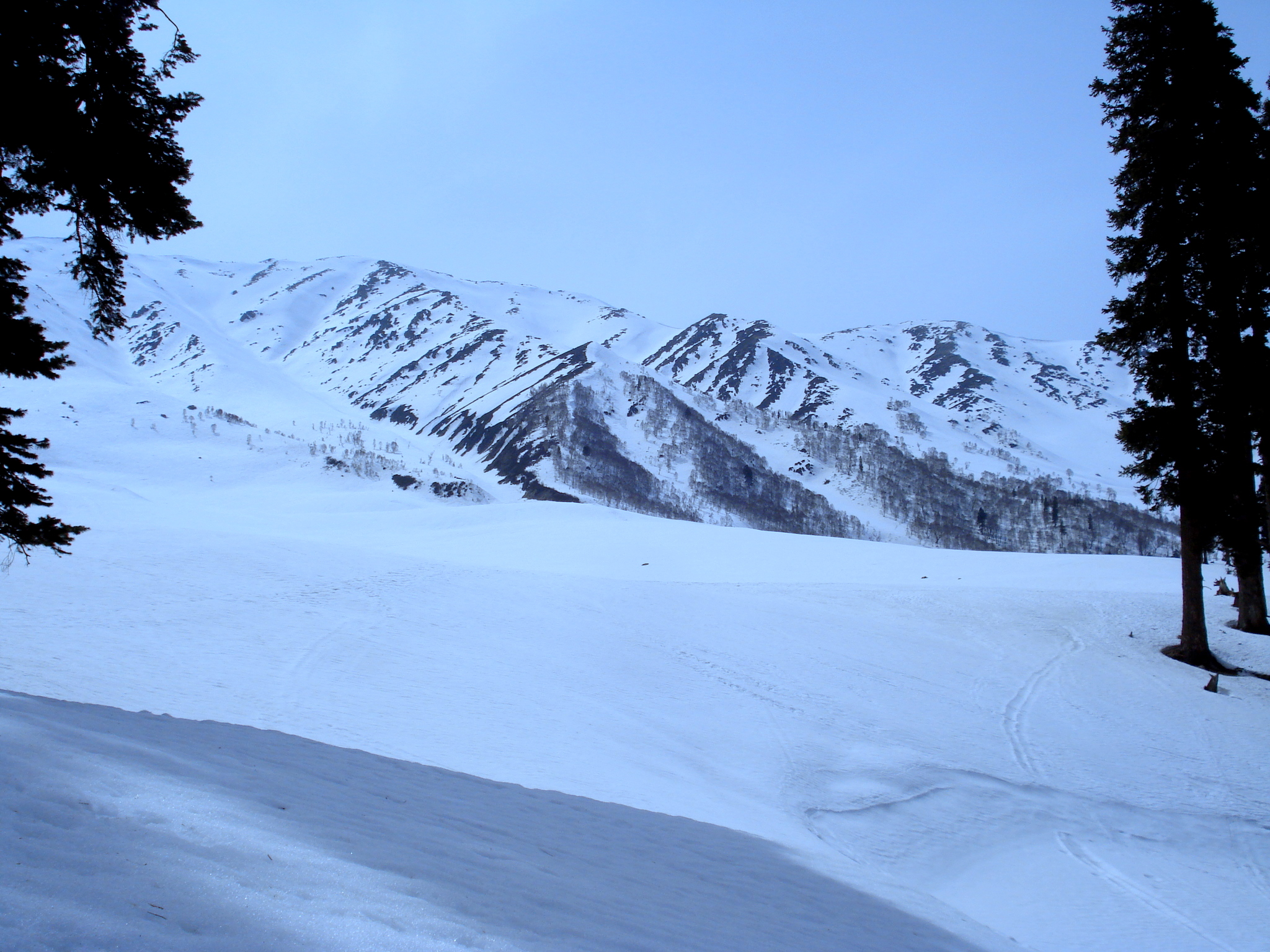 FRESH POW, Gulmarg