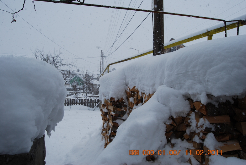 Under snow, Bakuriani