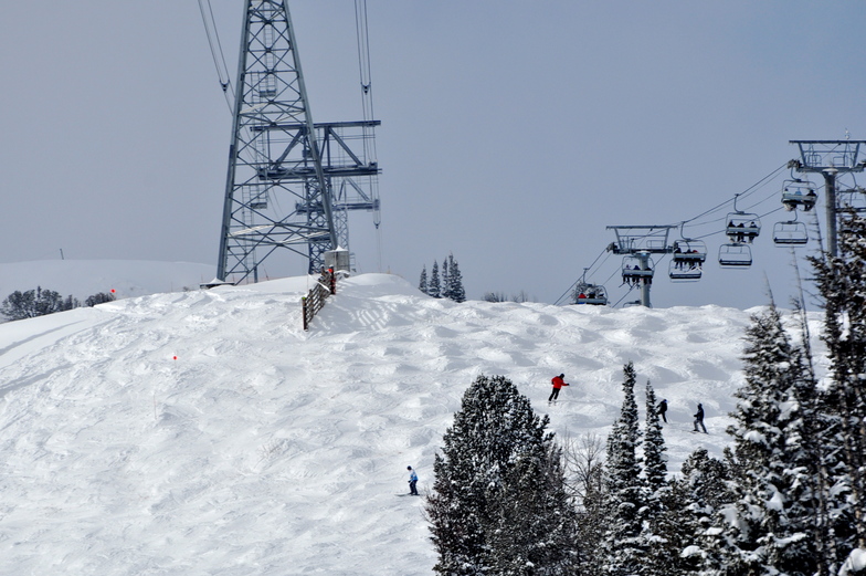 Moguls, Jackson Hole