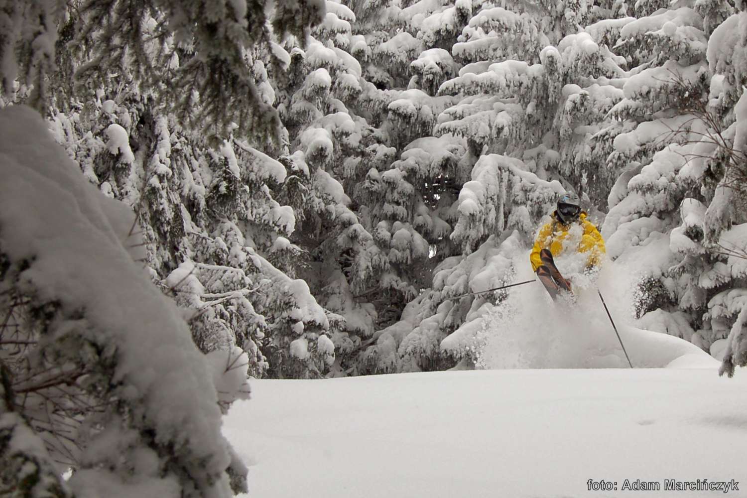 Freeride, Pilsko