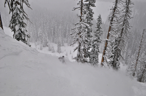 Powder, Mt Hood Meadows photo