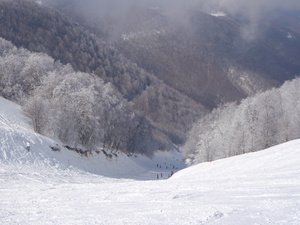 3-5 Pigadia, Greece photo