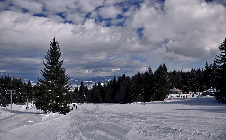 Chalin Valog, Bansko