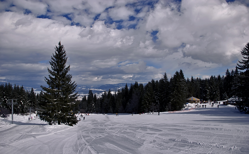 Chalin Valog, Bansko