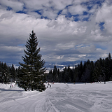 Chalin Valog, Bansko