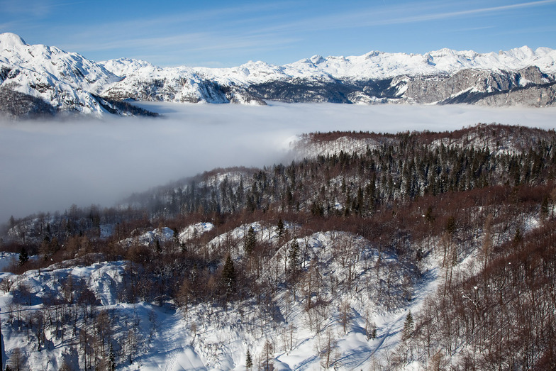 Vogel, Slovenia