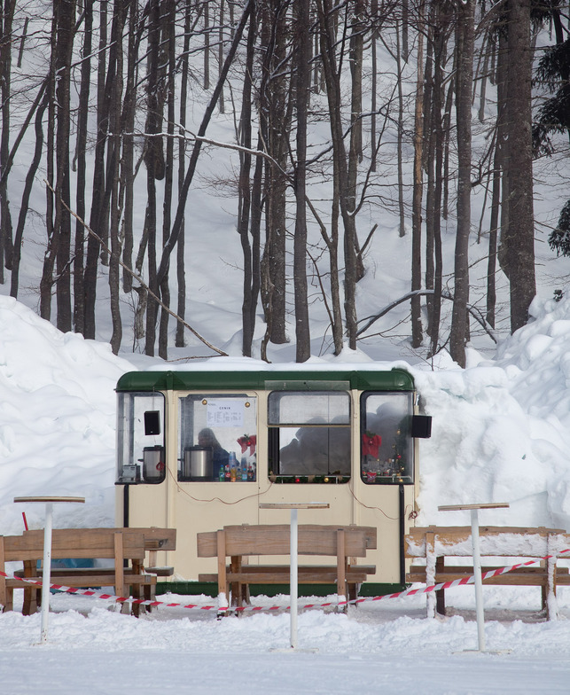 Gondola Cafe, Vogel