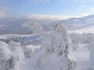 Dragobrat, Drahobrat photo