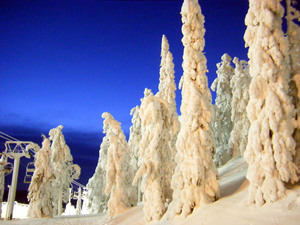 The colours of Finland, Ruka photo