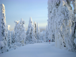 Boarding in Narnia.., Ruka photo