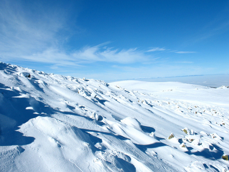 vitosha