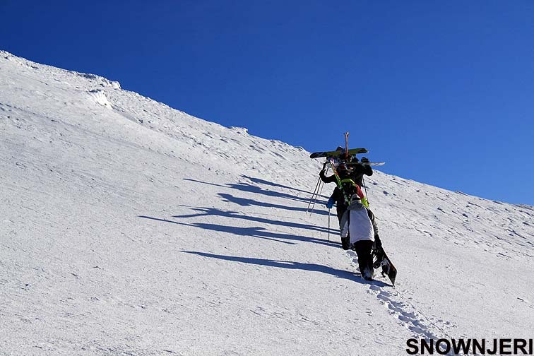 Pinguin hikers, Brezovica