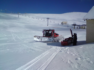 seli photo
