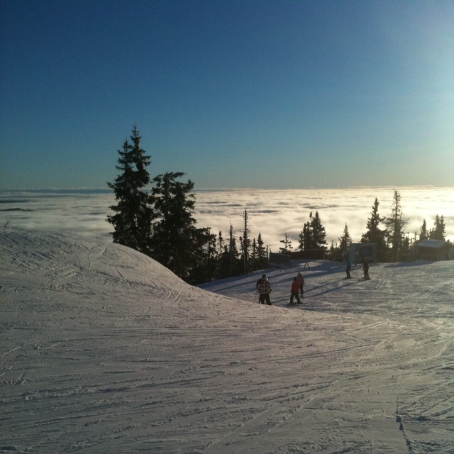 Half way up, Trysil