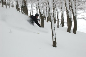 Roccanada woods, Roccaraso photo