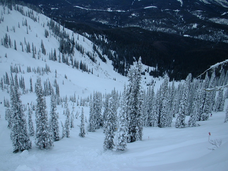 Fernie