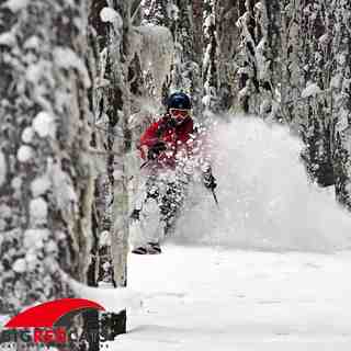 Lee ripping into the trees, Big Red Cats