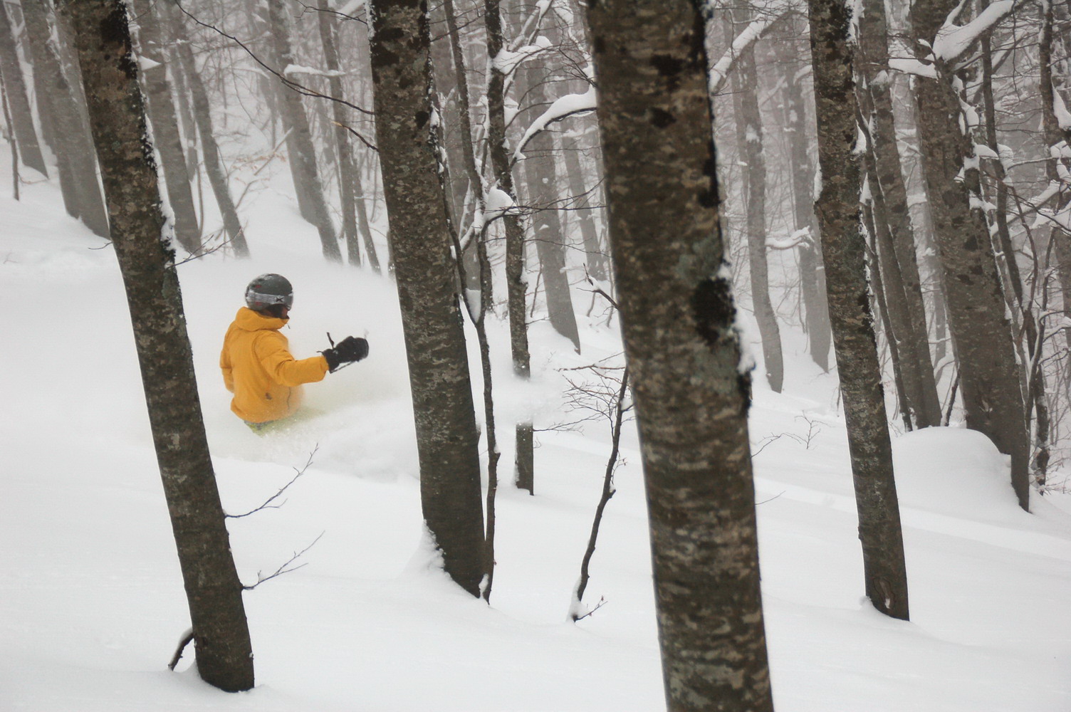 Roccanada Woods, Roccaraso