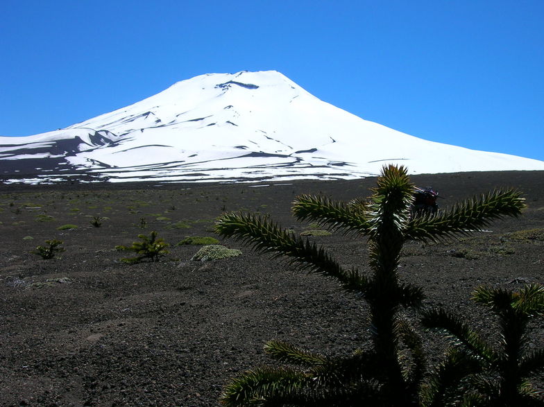 Volcan Lonquimay Oct 2005 (Chile), Villarrica-Pucon