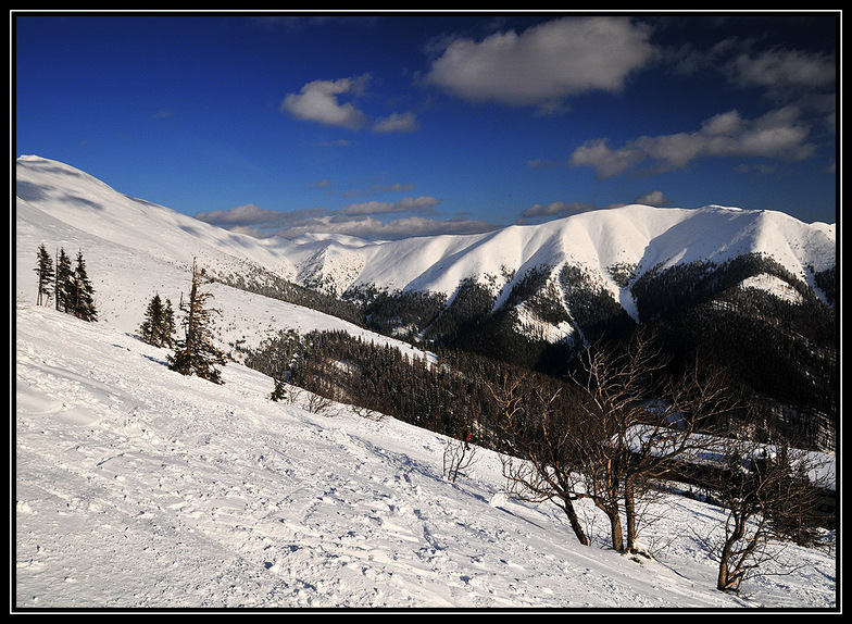 Chopok south, Jasná - Chopok