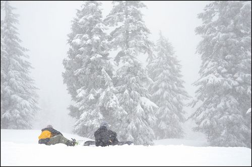 Mt Seymour  Guide de la station