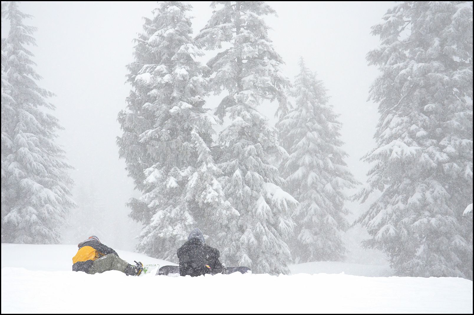 Mount Seymour BC, Snow, Mt Seymour