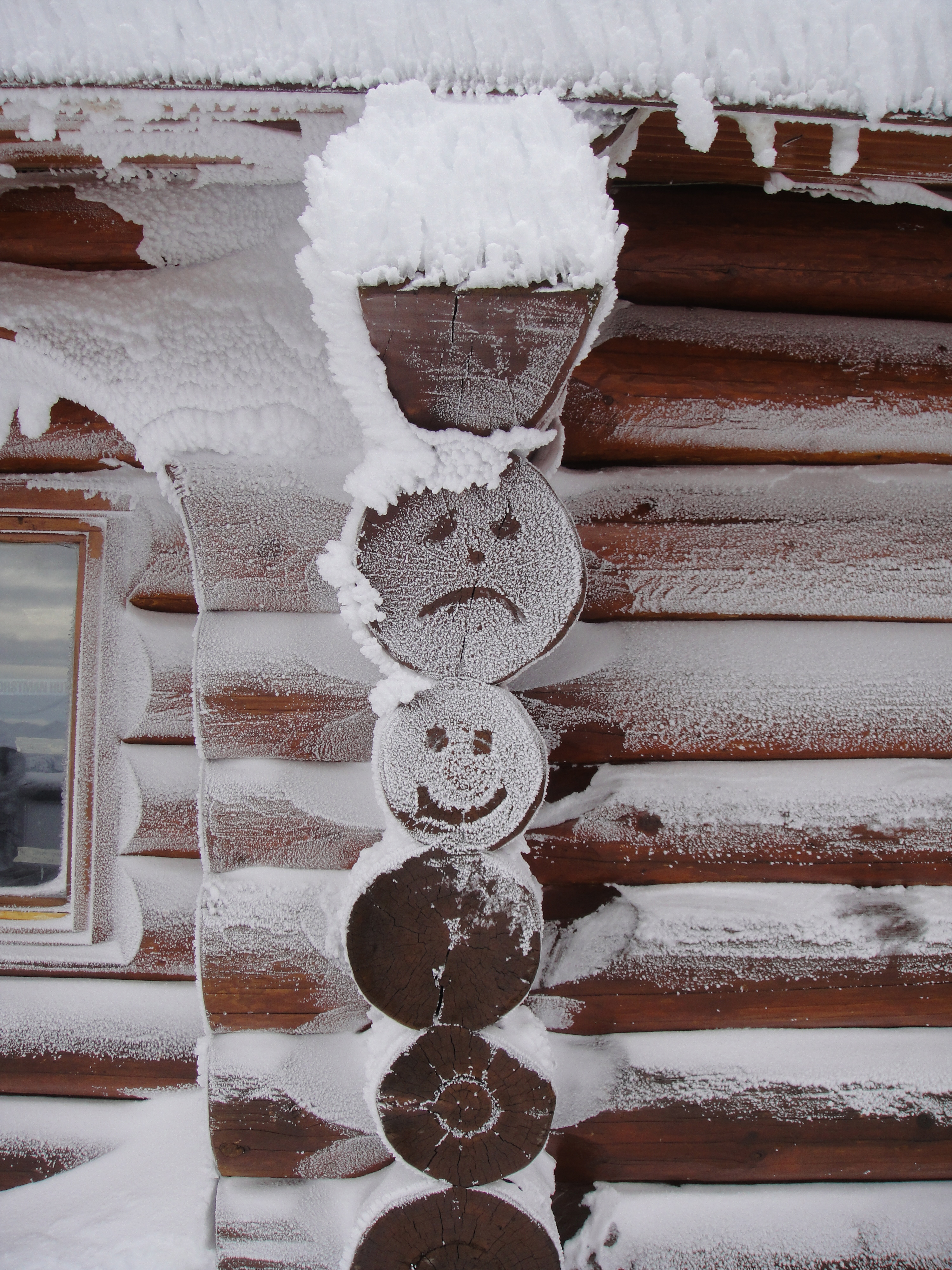 Faces in the logs, Whistler Blackcomb