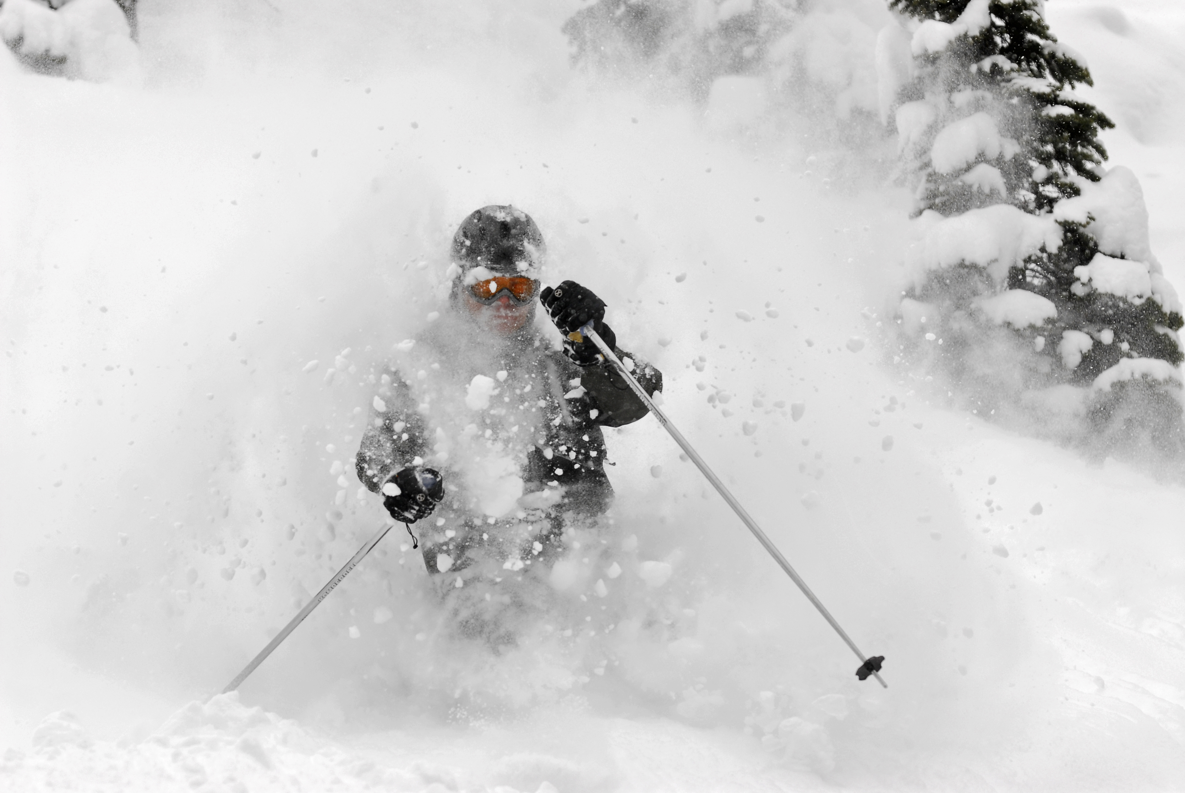 Tree Skiing, Chatter Creek