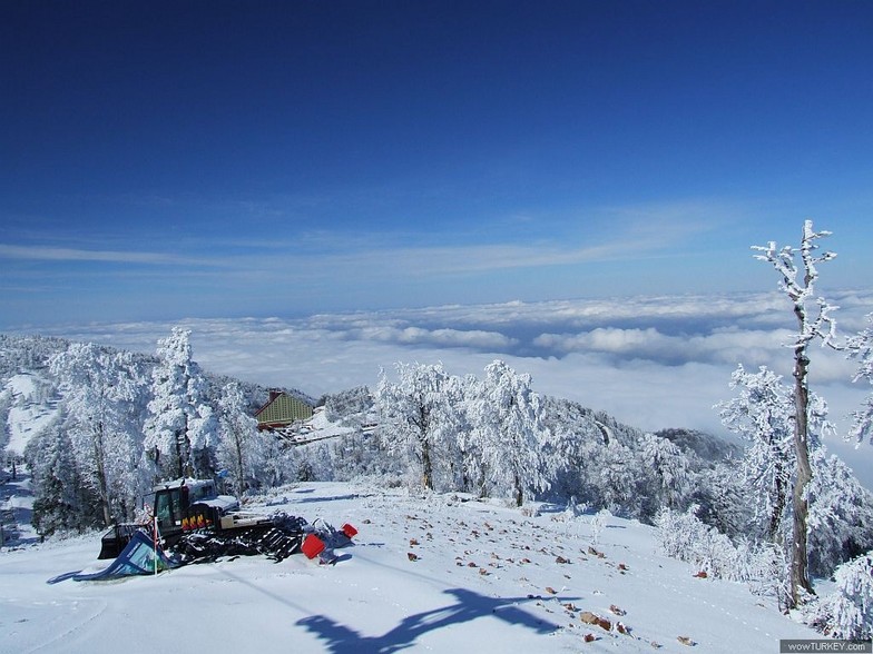Kartepe