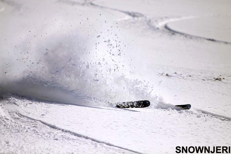 Maxx Edoni, Brezovica