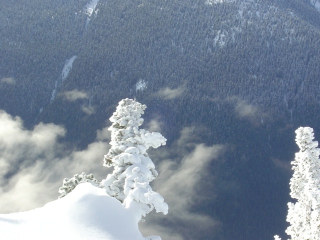 The Powder, Whistler Blackcomb