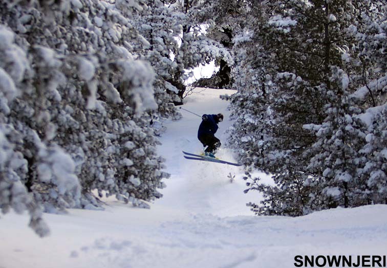 Forest freestyin, Brezovica