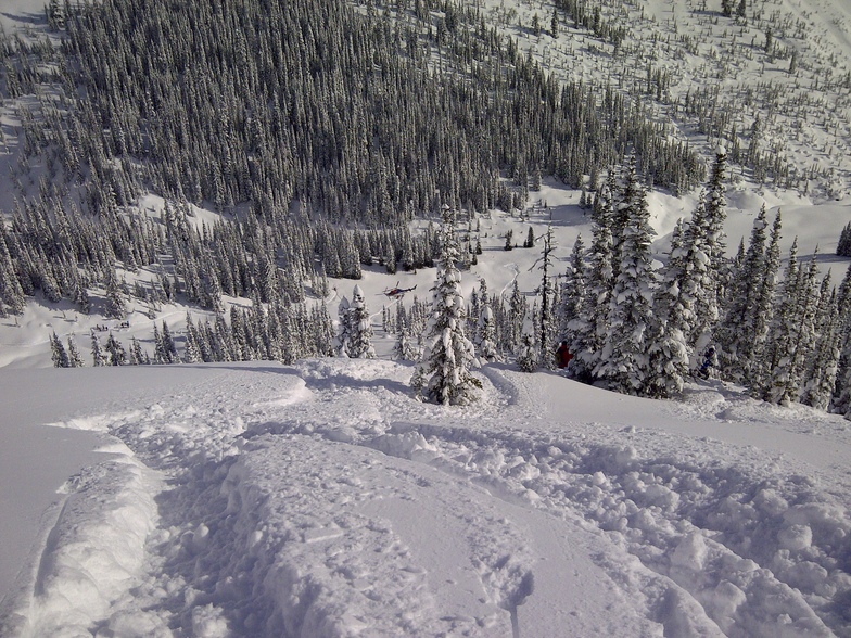 Sexy steep meadows, Great Canadian Heli-Skiing