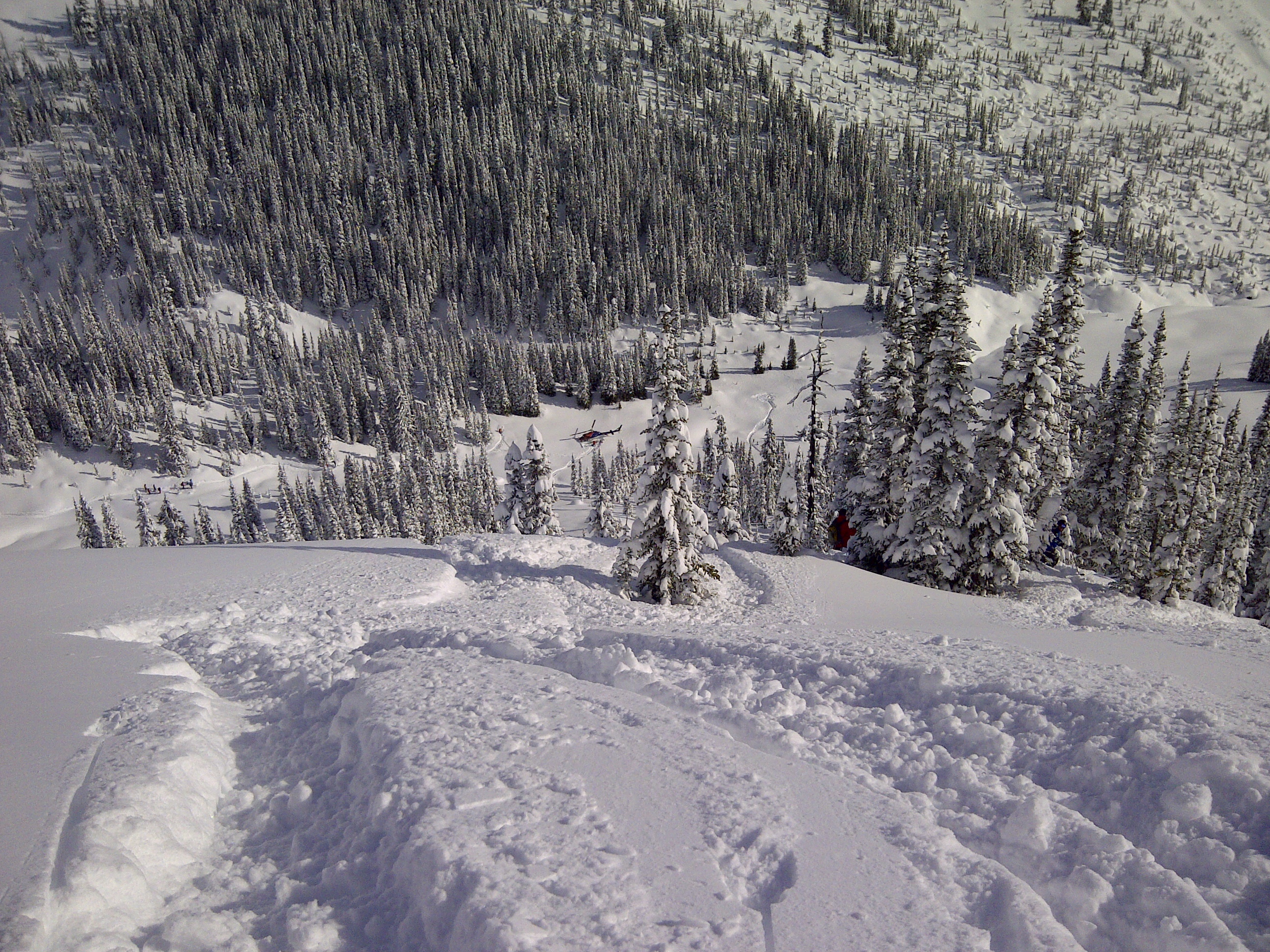 Sexy steep meadows, Great Canadian Heli-Skiing