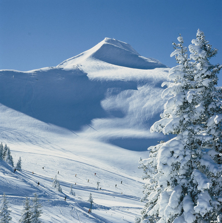 Alpbachtal, Wiedersbergerhorn, Tyrol