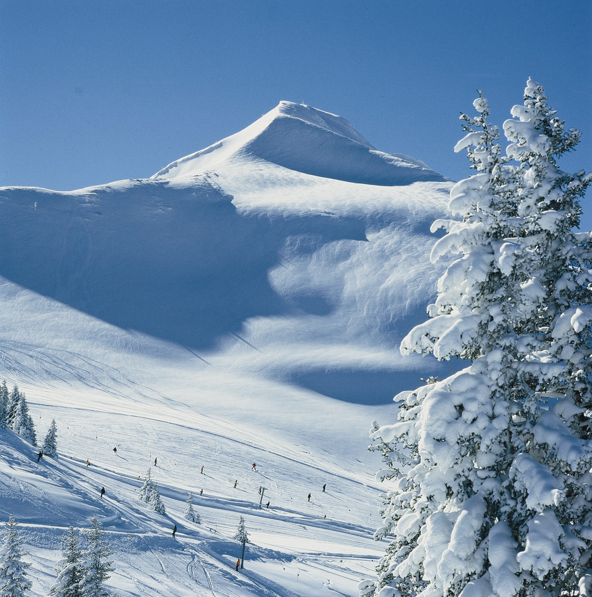 Alpbachtal, Wiedersbergerhorn, Tyrol