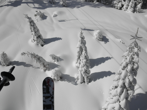 Sierra at Tahoe Ski Resort by: Rudi Kohlbacher
