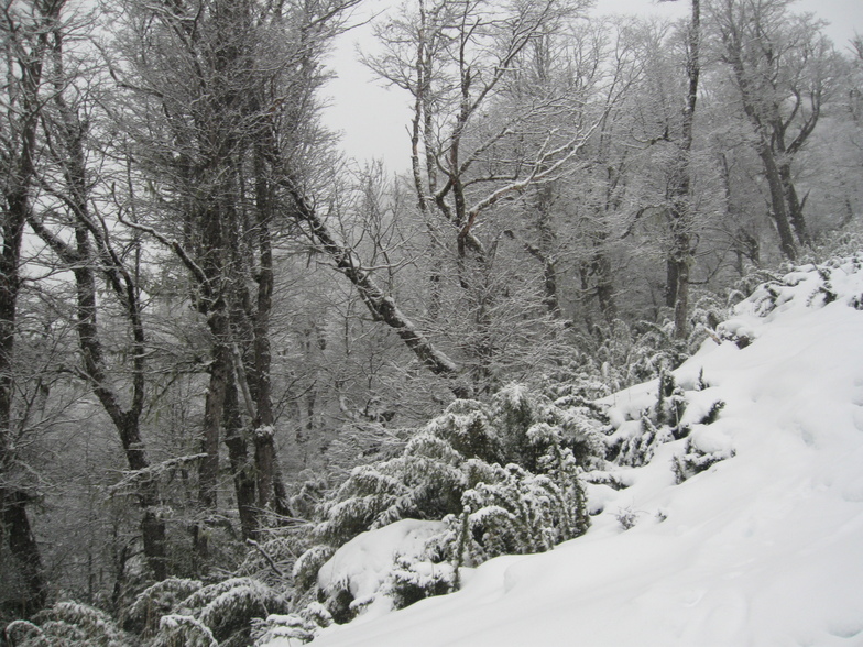 Cerro Bayo - Villa la Angostura