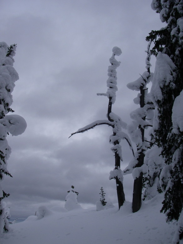 Halloween Tree