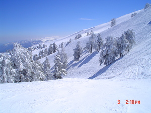 Incredible is 4 April, Vasilitsa photo