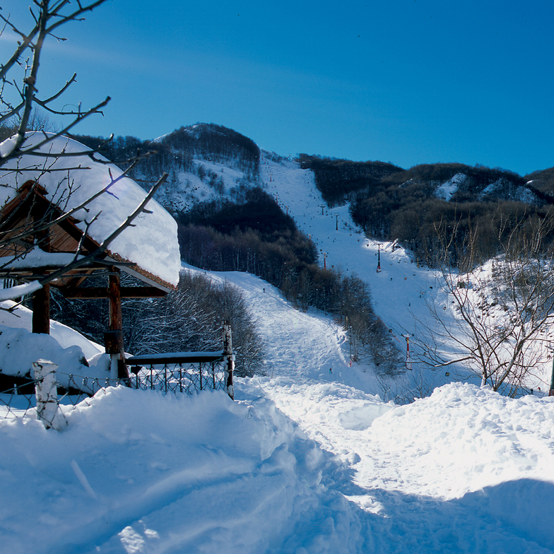 Neighbor's View, Mavrovo-Zare Lazarevski