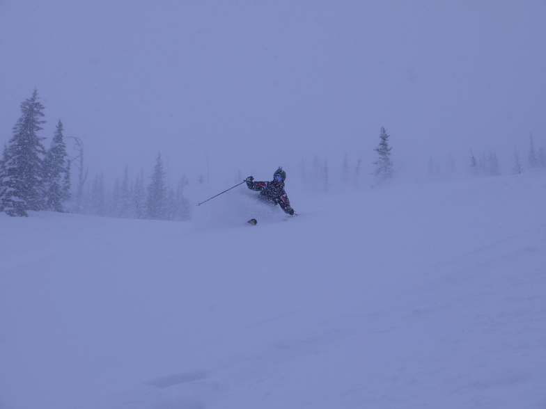 Richard skiing 60cm of fresh!!!, Castle Mountain Resort