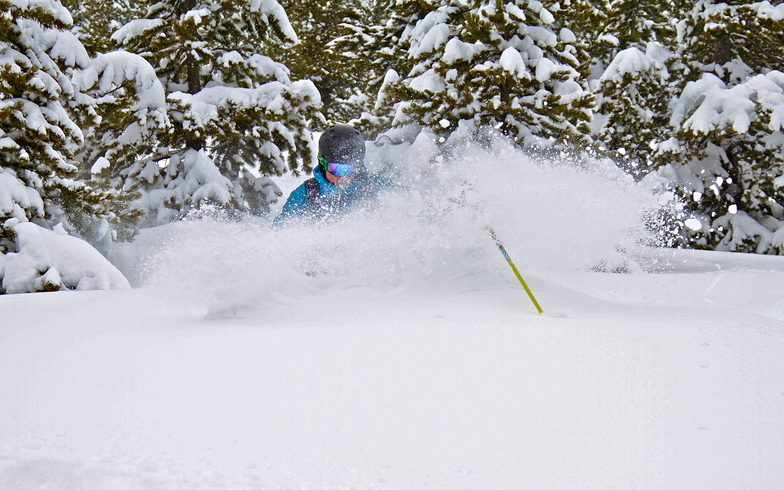 Standard conditions at CMR, Castle Mountain Resort