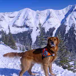 Huck with Barnaby Ridge, Castle Mountain Resort