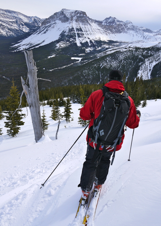 Valley views, Castle Mountain Resort