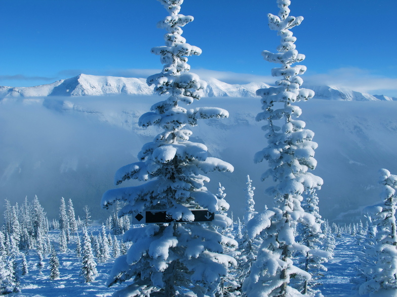 Castle Mountain Resort snow