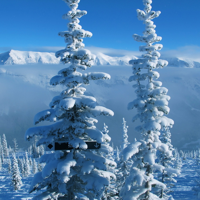 SNOW SNOW SNOW, Castle Mountain Resort