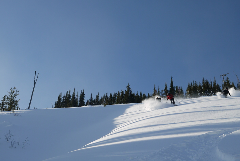 Fresh Lines, Castle Mountain Resort